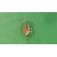Controller cover A963415.49 Ideal Standard