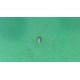 Gewindestift M6x8 A963752NU Ideal Standard