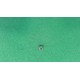 Gewindestift M5x5 A962379NU Ideal Standard