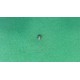 Gewindestift M5x5 A961268NU Ideal Standard