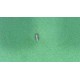 Grub screw M4x8 Ideal Standard