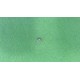Grub screw M4x4 A962270NU Ideal Standard