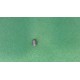 Upevňovací šroub M5x7 Ideal Standard